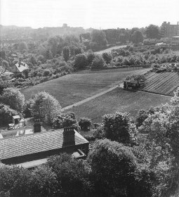 Horticulture in the Highgate Bowl, mid 20th century